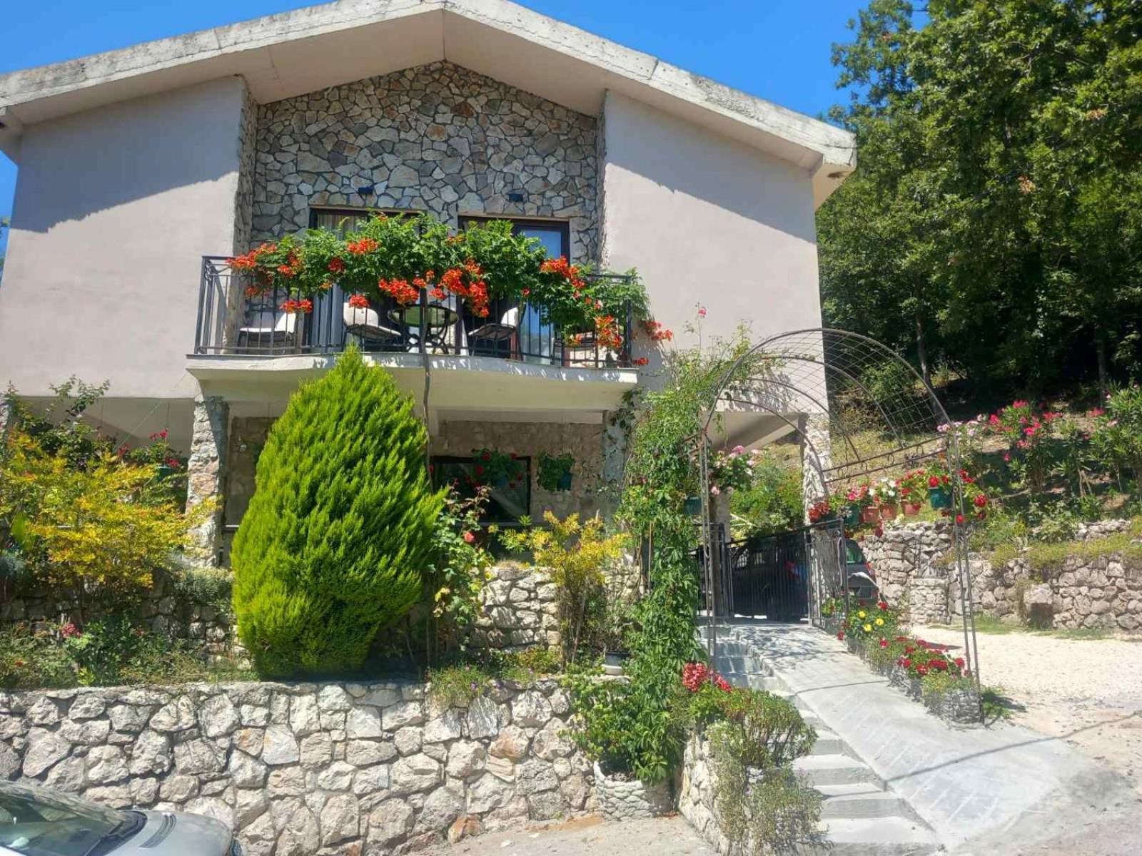 Dado Apartment Virpazar