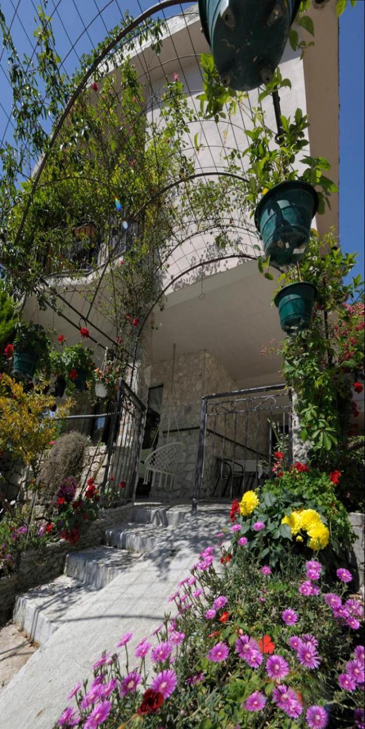 Dado Apartment *